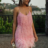 Samba – Elegants liikumises