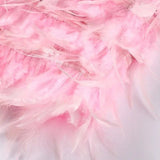 Samba – Elegants liikumises